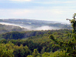 Slovenia for Families - Fokovci